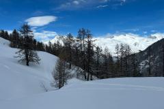 WhatsApp-Image-2026-03-16-at-12.16.50-5