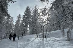 WhatsApp-Image-2026-03-16-at-12.16.50-8