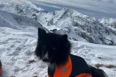 WhatsApp-Image-2026-02-01-at-15.31.52