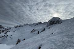 WhatsApp-Image-2026-02-01-at-22.37.02-2