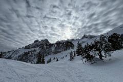 WhatsApp-Image-2026-02-01-at-22.37.02-3