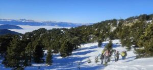 Lire la suite à propos de l’article 2025 – Troisième sortie d’exercices sécurité